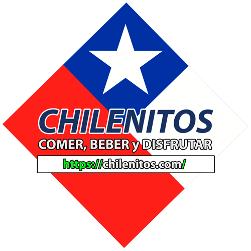 estacionamientos.ves.cl - chilenos - chilenitos